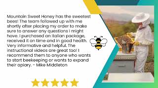 A Sweet Deal My Recommendation for Mountain Sweet Honey