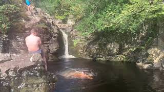 The Wild Swimmers