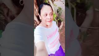 Shashi Goel #youtubers #instagram #oldsong #india #reels viral #video #facebook #hooks