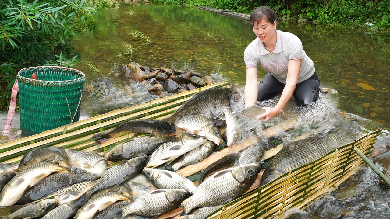 The smart girl caught a lot of fish and brought them to the market to ...