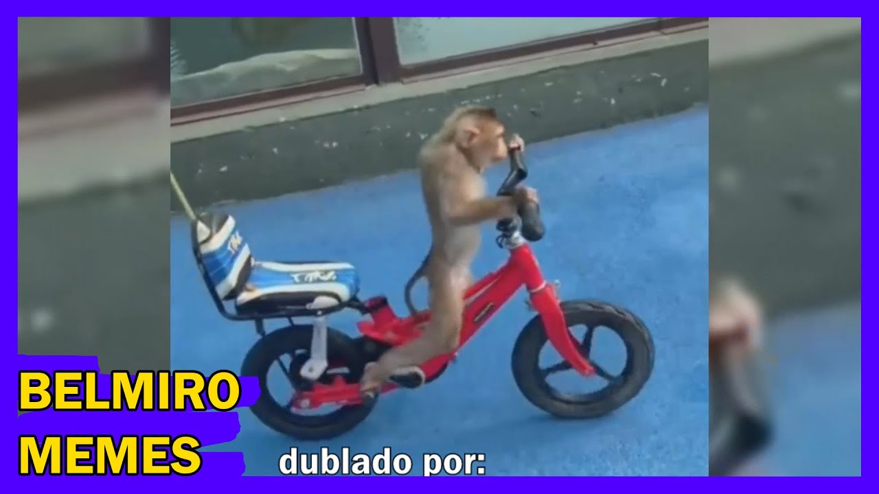 Belmiro Memes: Melhores dublagens engraçadas da semana 28