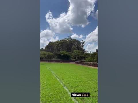 VIEW OF OUR FARM-BLOCK D4