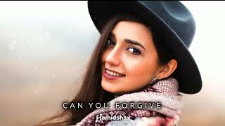 Hamidshax - Can you forgive (Original Mix)