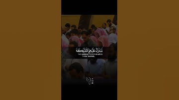 القارئ ياسر الدوسري ((سورة فصلت))