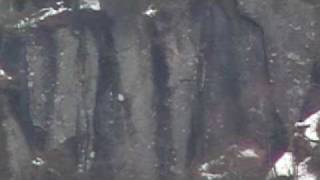 338Lapua Magnum Sako Trg42, Long Range 1280M Range, Bullet Flight Time 2.45Sec