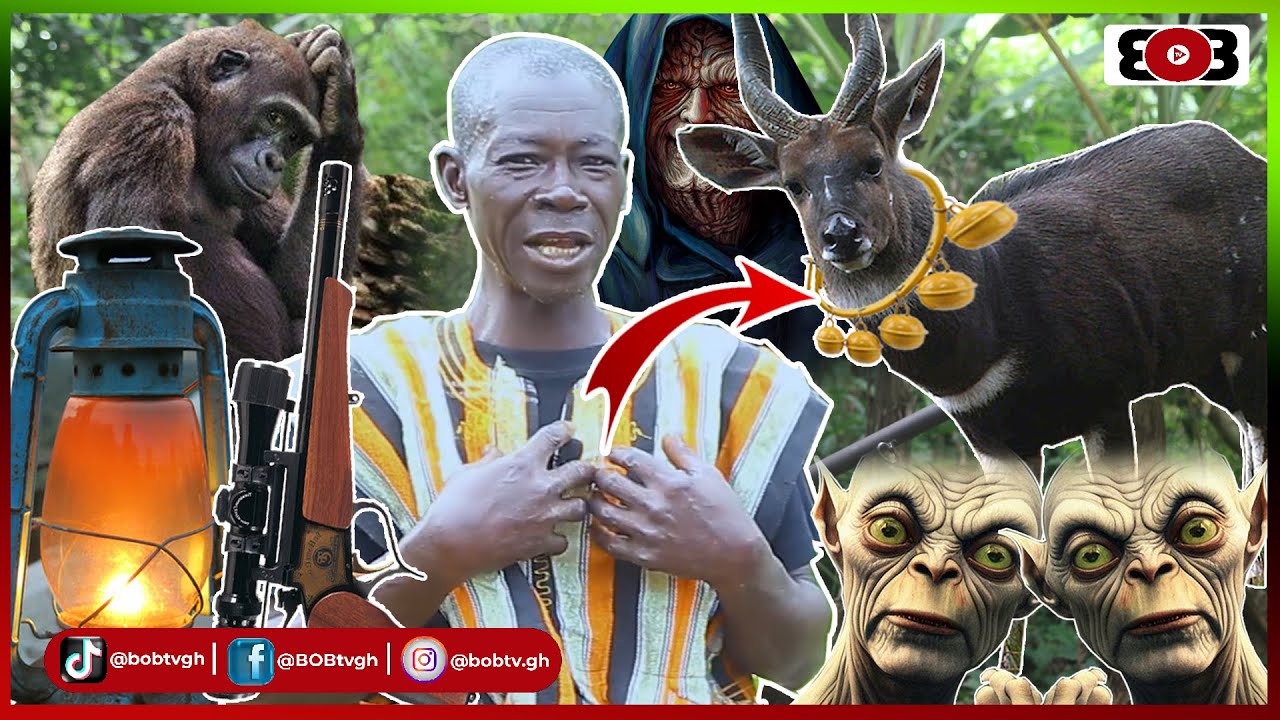 😳Hunter met a very tall Black Bushbuck-Wansane running with bell on it neck;it stopped & looked @me