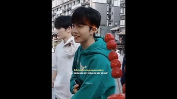 [TF 家族] Tô Tân Hạo - TF Gia Tộc | TF Gia Tộc