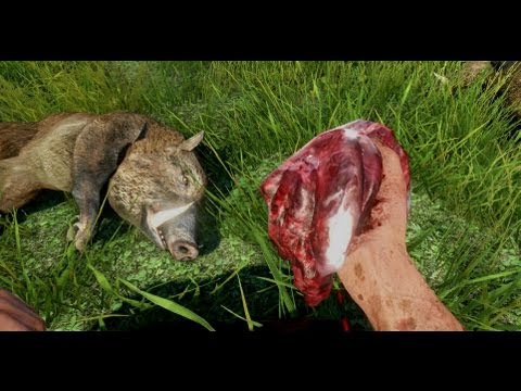 Far Cry 3: Where to Find Boar? [Guide]
