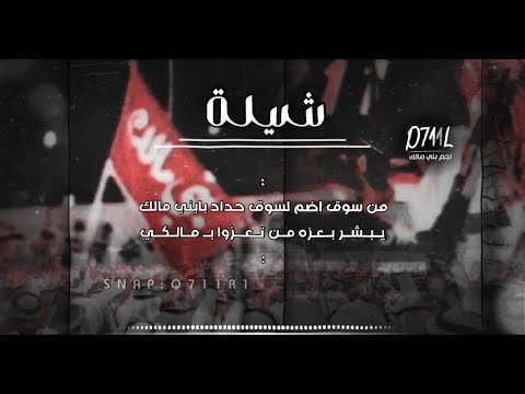 شيلة بني مالك يبشر بعزه من تعزوا بـ مالكي