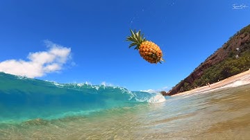 Da Pitted Pineapple 🌊🍍