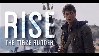 Maze Runner || Rise