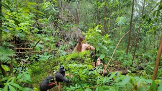 The girl went to pluck cassava, grow potatoes, scoop fish, wild tubers - Ly Mui