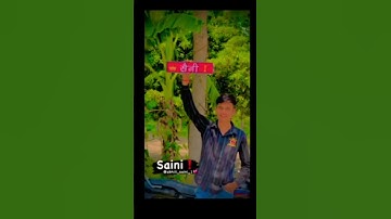 Saini vs Kashyap status video // Kashyap vs saini WhatsApp video // #durlabhkashyap #Saini #kashyap