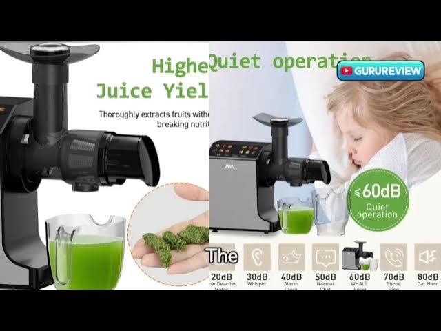 whall Slow Juicer, Masticating Juicer, Celery Juicer Machines, Cold Press  Juicer Machines Vegetable and Fruit, Juicers with Quiet Motor & Reverse