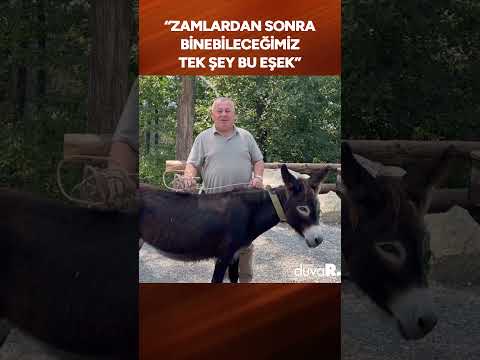 Cemal Enginyurt'tan akaryakıt zamlarına eşekli tepki #shorts #cemalenginyurt #erdoğan