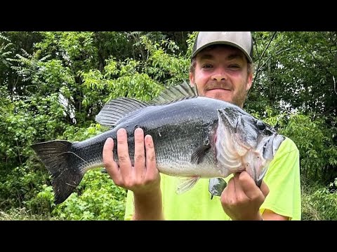 The Weightless Senko – The BEST Bass Fishing technique of all time?