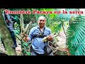 Chinto Aventuras (Discovery Guatemala)