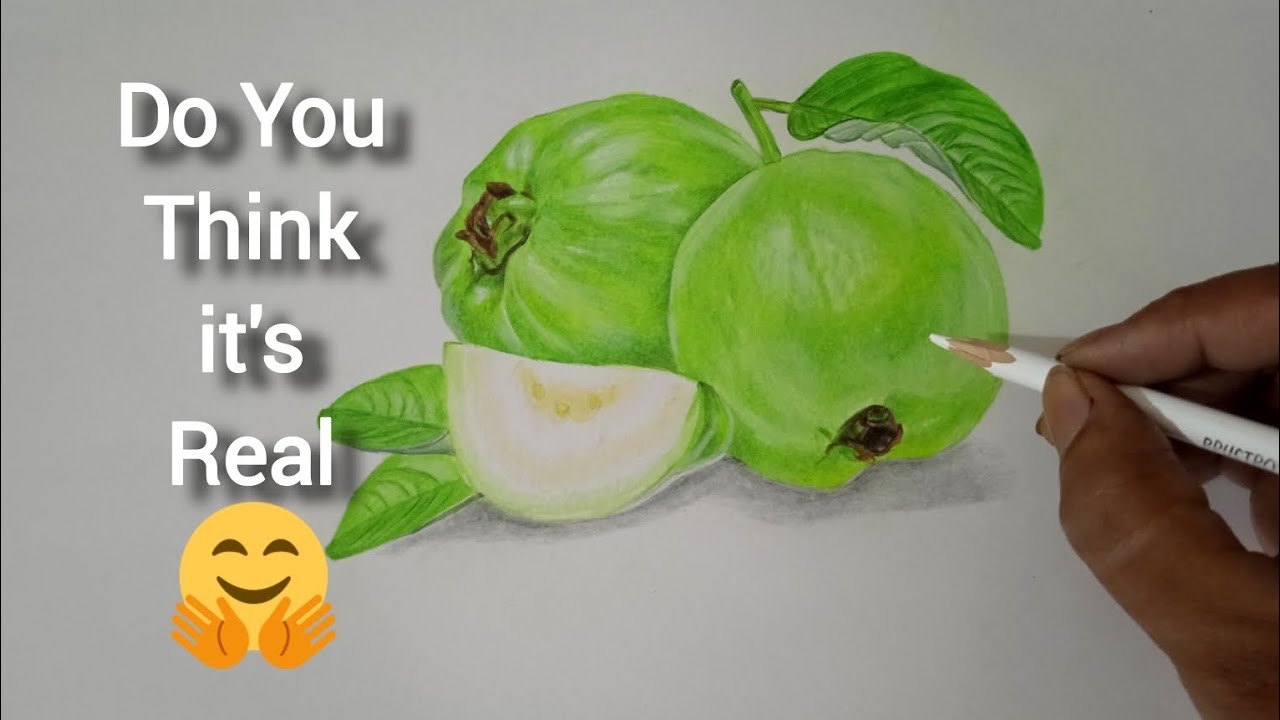 Guava Drawing || How To Draw Fruits || Inspired by 