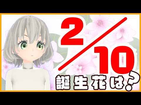 【花言葉】２月１０日の誕生花は？／花白もか