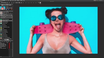 Studio Artist AI Art and Animation - Getting Started - Preset Management