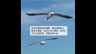 新頌大會廣東話 Cantonese 20180712-7