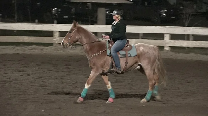 Ashley Jeffries and Tank Kennewick 3-30-18