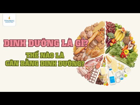 Video: Dinh Dưỡng Của Con Người để Làm Gì?