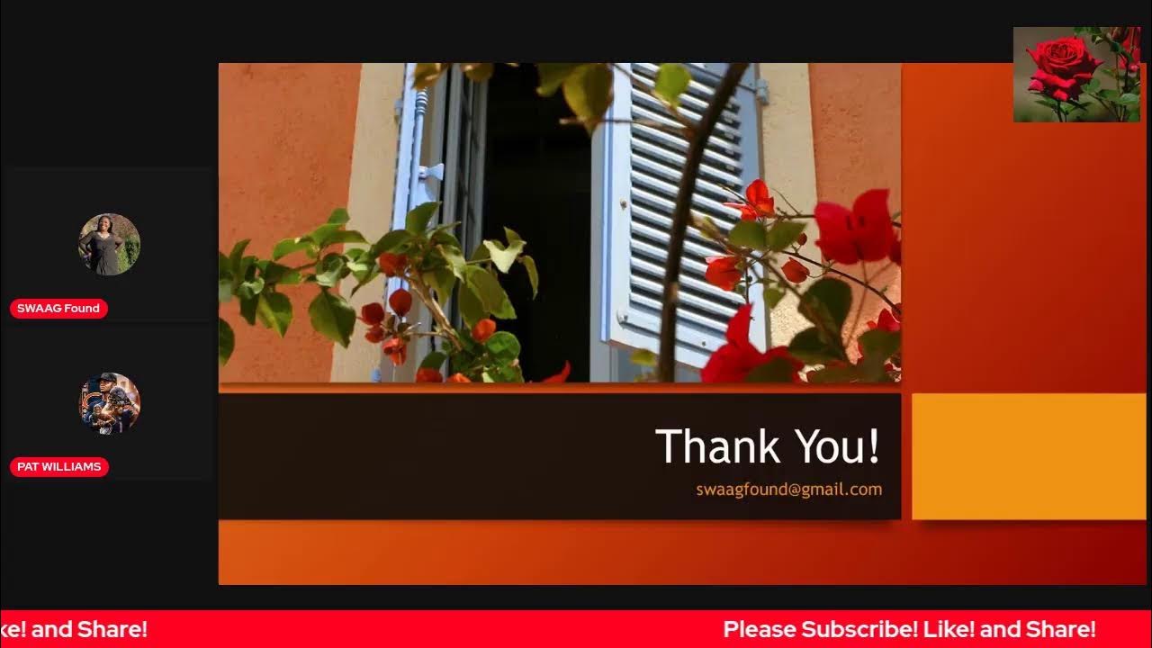 The Illinois "Purge"/SafeT Law" 2023 YouTube