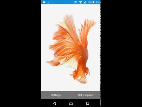 Unduh 4000+ Wallpaper Apple Android HD Terbaru Unduh 4000+ Wallpaper Apple Android HD Terbaru
