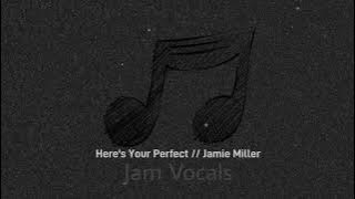Here's Your Perfect // Jamie Miller (Vocals)