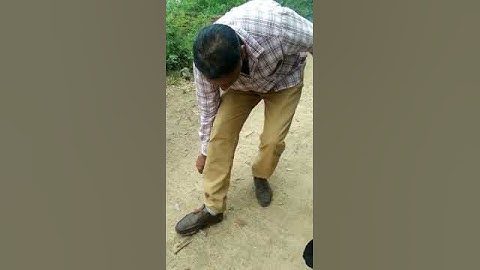 Indian Rock Python rescued by Haryana Forest Ranger