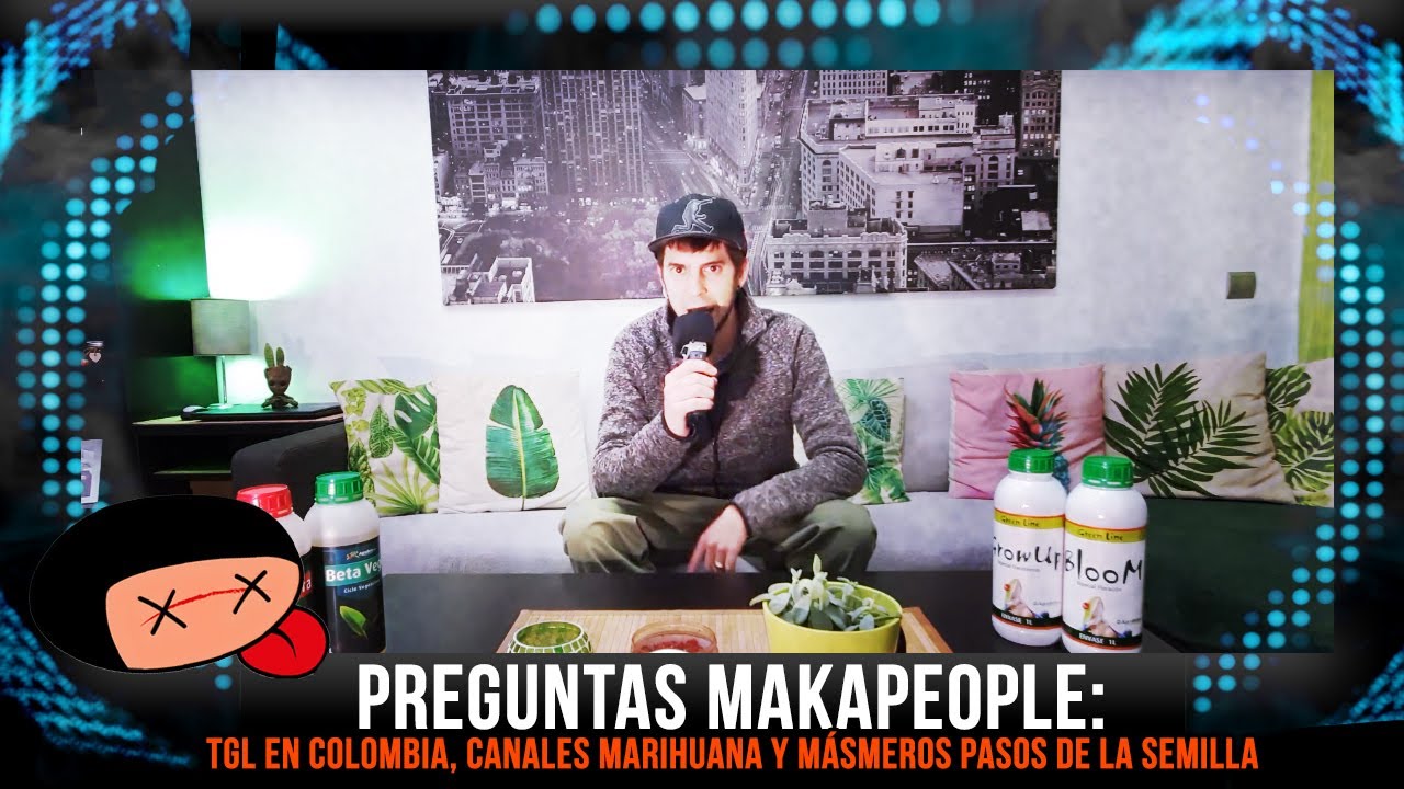PREGUNTAS MAKAPEOPLE: TGL en Colombia, canales marihuana y más
