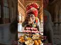 आज आप हैंग जाना आ जाओ उम्मेद पैलेस में खाना जीन Mokey the Blogger