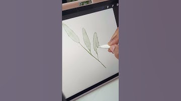 Cute Watercolor pattern design using procreate app || Satisfying video