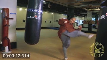 Dao Shi demonstrates 2/3 second hou bai back turning kick with slow motion replay