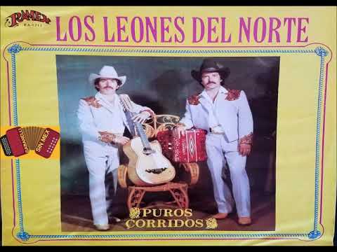 LOS LEONES DEL NORTE EL CABO DE MICHOACAN - YouTube