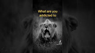 What are you addicted to? #consistence #discipline #habits #lionmindset #youtube #powerfulhabits