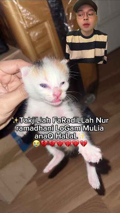 Aku ngespill 'ANAK UNYI' & mengumumkan namanya! Pls bantu cariin nama panggilnya WKWK 😭💔 #shorts