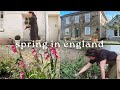 Spring in the english countryside  baking homeware gardening  grocery haul