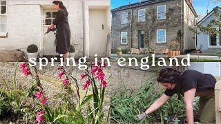 Spring In the English Countryside | Baking, Homeware, Gardening & Grocery Haul screenshot 5