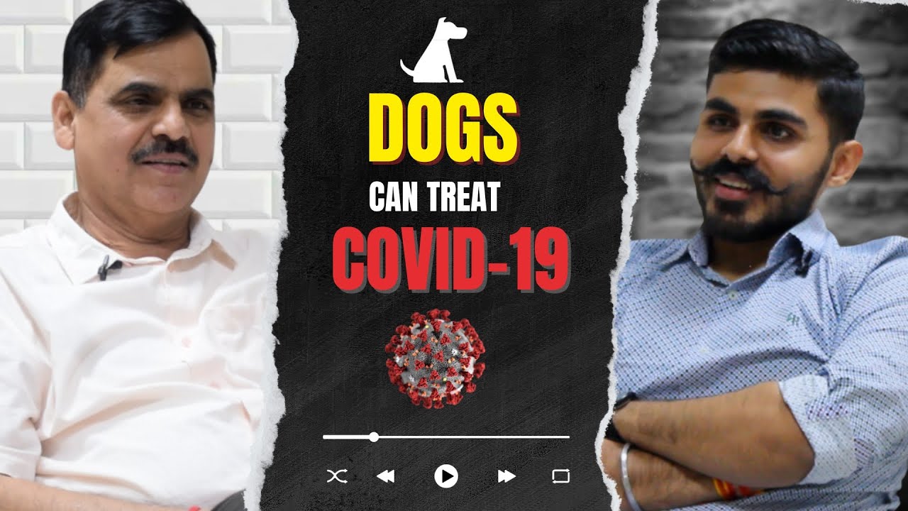 Egg Veg Or Non Veg Gene Therapy For Cancer Bird Flu In Humans Much egg-veg-or-non-veg-gene-therapy-for-cancer-bird-flu-in-humans-much