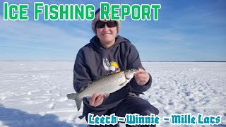 Ice Fishing Report: Leech Lake, Lake Winnie, and Mille Lacs Lake 1-23-2026
