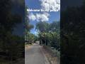 Welcome to nature and peace