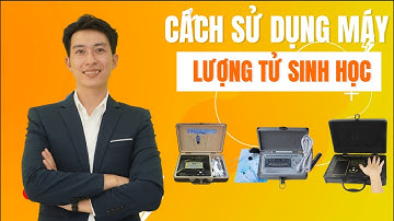 Cách Cài Đặt Và Sử Dụng Máy Phân Tích Lượng Tử Sinh Học 36 Chỉ Số | Quantum Analyzer | Thành Partner