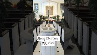 Joyful Mystery Saint Anthony Parish Nyc