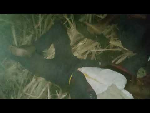 भुकला कोढा निजला धोडां शेतकर्यांचे जगणे पहा