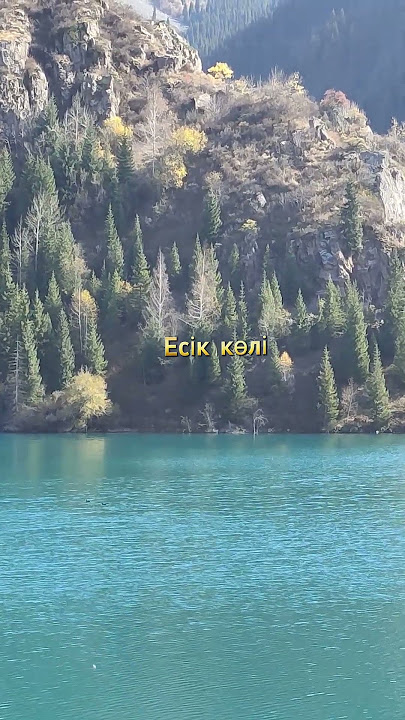 Жыныстық қатынасқа арналған жұбай