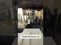 Tesla Optimus robot will allow for amazing abundance. #fyp #viral #tesla #optimus #teslarobot
