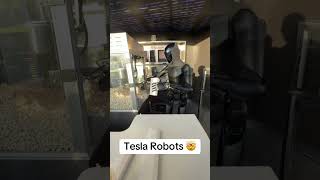 Tesla Optimus robot will allow for amazing abundance. #fyp #viral #tesla #optimus #teslarobot