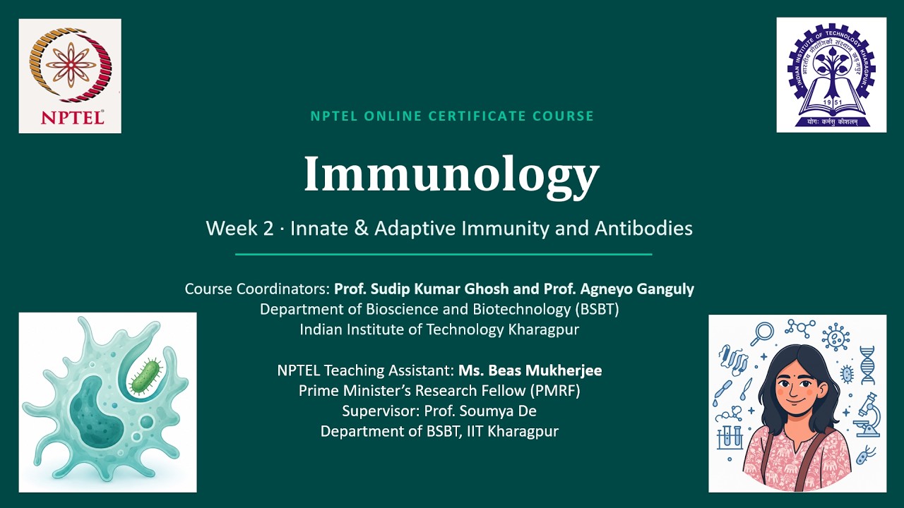 Innate & Adaptive Immunity, Inflammation, T & B Cells, Antibody | Week 2 | NPTEL Immunology 2026